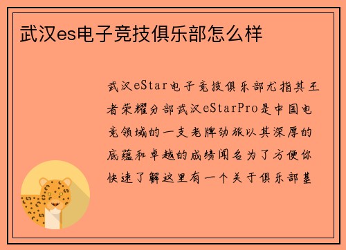 武汉es电子竞技俱乐部怎么样